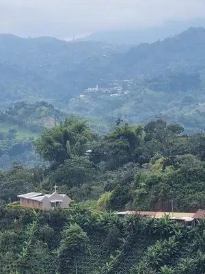 a house on the side of a hill with trees at Finca La Carolina in Palocabildo