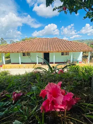 a house with a pink flower in front of it at ByB Casa campestre in Riochico Pérez