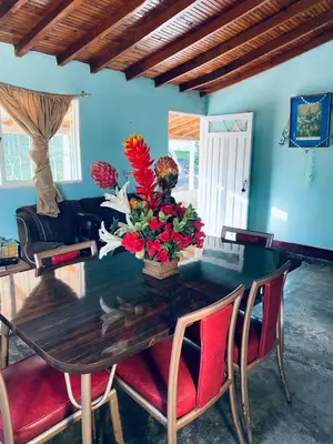 a dining room table with a vase of flowers on it at ByB Casa campestre in Riochico Pérez