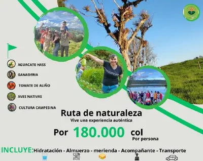 a poster for the ruta de natalica for at ByB Casa campestre in Riochico Pérez
