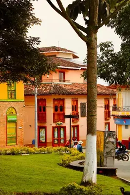 a building with a tree in front of it at Hotel Colonial Aguadas in Aguadas