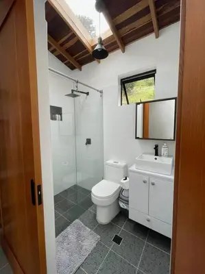 a bathroom with a toilet and a shower and a sink at Modern mountain house in Las Palmas