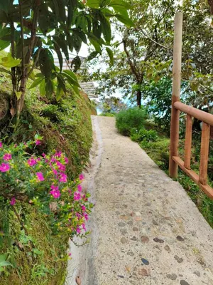 a path with pink flowers next to a fence at Finca AVALON Alejandria Antioquia in Alejandría