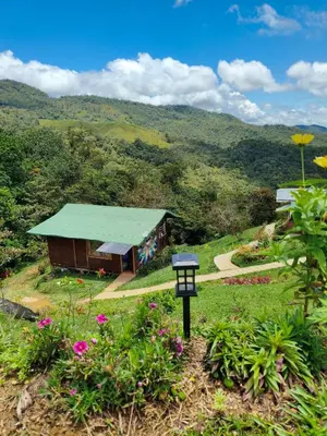 a building with a green roof on a hill with flowers at Finca AVALON Alejandria Antioquia in Alejandría
