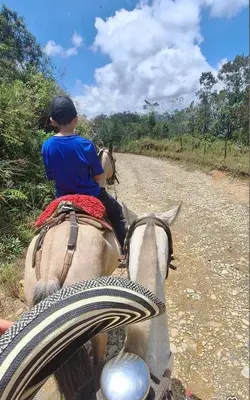 a young boy riding a horse down a dirt road at Finca AVALON Alejandria Antioquia in Alejandría