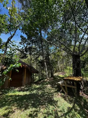 a bench sitting under a tree next to a cabin at Cabaña en reserva natural in San Rafael