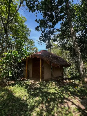 a small hut in the middle of a forest at Cabaña en reserva natural in San Rafael