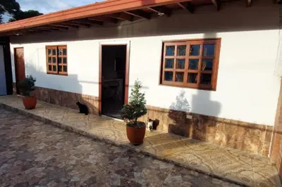 a house with two cats sitting outside of it at Casa de campo in Jericó