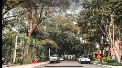 a street with cars driving down a road with trees at Loft con Patio privado in Medellín