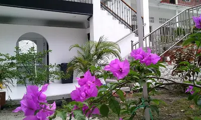 a bunch of purple flowers in front of a building at Victoria Imperial Hotel in Mariquita
