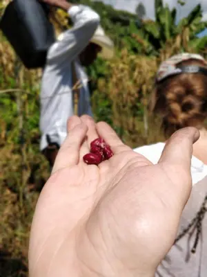 a person holding a red object in their hand at Finca Milena Jardin Antioquía in La Morelia