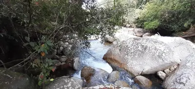a stream of water with rocks and trees at Hospedaje Casa Madre los alemanes in Cháquiro