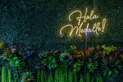 a sign that says fiesta melville on a wall with plants at Hotel Hola Medellín in Medellín