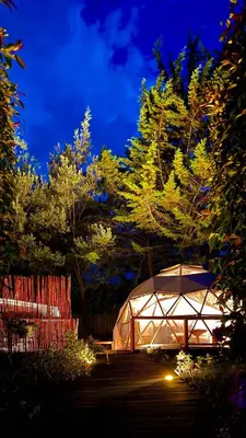 a lit up greenhouse in a garden at night at Boreal Refugio Natural in Sonsón