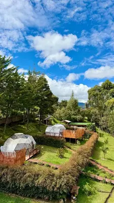a group of tents in a field with trees at Boreal Refugio Natural in Sonsón