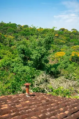 a roof of a house with a hill in the background at Hospedaje RioBosque San Carlos in San Carlos