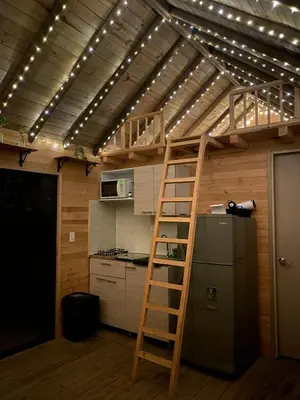 a loft bed in a kitchen with lights on the ceiling at Cabaña Del bosque in Santa Elena