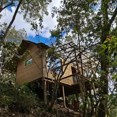 Cabaña Del bosque