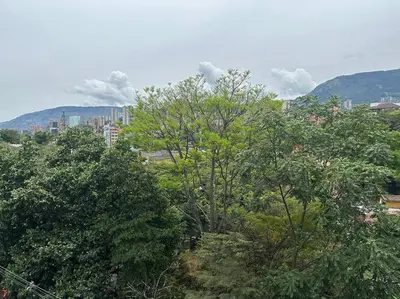 a group of trees with a city in the background at Cozy Studio Apartment in Poblado with Jacuzzi in Medellín