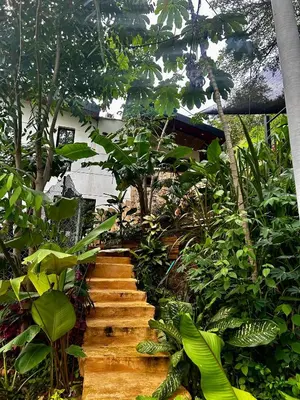 a staircase in a garden with many plants at Cabaña Cedro Amarillo - Jacuzzi Grande Con Calefacción - Cerca a Medellín in Sopetran