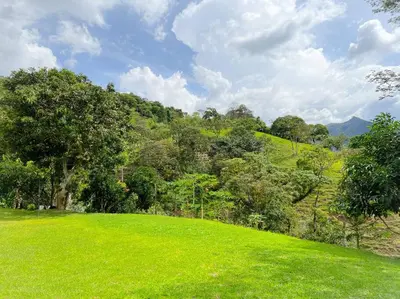 a green field with trees on a hill at 15 mins to Jardín Spacious & Convenient House in Los Andes