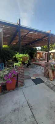 a black cat walking under a covered patio at Casa de la Cruz in Mariquita