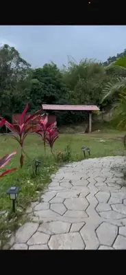 a stone walkway next to a park with a bench at Cabaña Glamping vista verde Cocorna in Cocorná