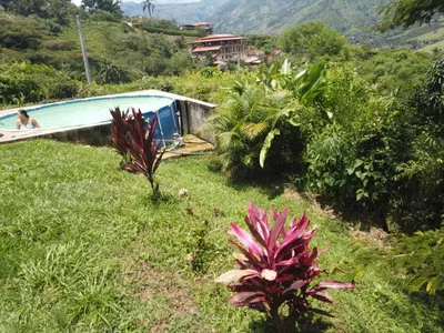 a swimming pool in the middle of a field with plants at Casa de campo barbosa Antioquia in Barbosa