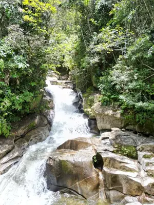 a river in the middle of a forest at Reserva Natural Maimará in Alejandría