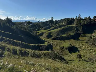 an open field with grass and trees on a hill at Mountain Home Close to Guatape Pueblo With Jacuzzi in Guatapé