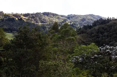 auliculiculiculiculiculiculiculiculiculiculiculiculiculiculic at Luna Verde Eco Hábitat in Rionegro