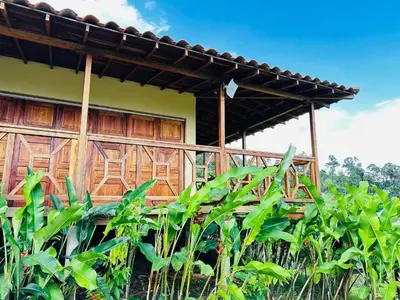 a house in the middle of a field of corn at My Paradise Tamesis in Támesis