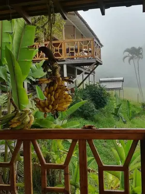 a bunch of bananas hanging from a house at My Paradise Tamesis in Támesis
