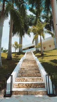 a stairway leading to a beach with palm trees at Dharma Hotel Boutique Spa in San Jerónimo