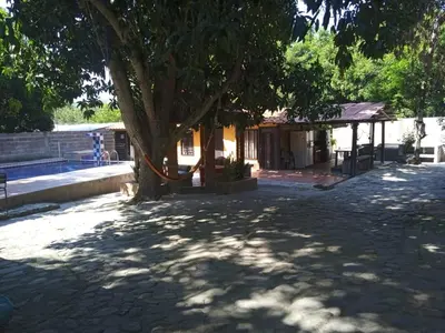 a tree in the middle of a courtyard with a building at Finca Santa fe de Antioquia in Sopetran