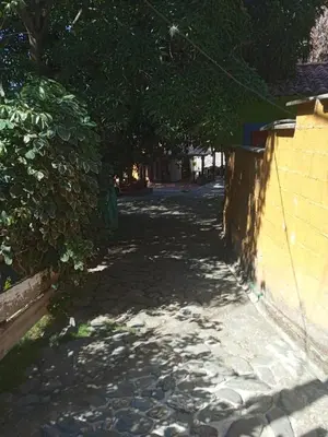 an alley with trees and a brick wall at Finca Santa fe de Antioquia in Sopetran