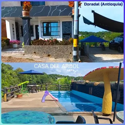 Apartamento - Casa del árbol