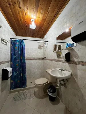 a bathroom with a toilet and a sink at Yarumito Finca Hotel l Cabaña Girasol in Barbosa