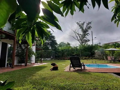 a dog sitting on the grass next to a chair at Finca Ecológica Sopetran in Sopetran