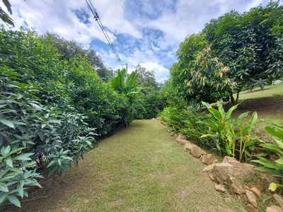 a garden with bushes and trees and a pathway at Finca Ecológica Sopetran in Sopetran