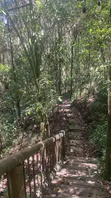 a path in a forest with a wooden fence at Refugio Santa Elena in Santa Elena