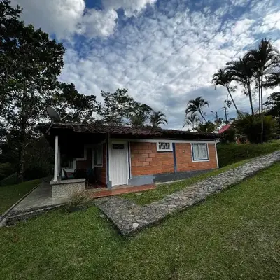 Yarumito Finca Hotel Cabaña Tulipán