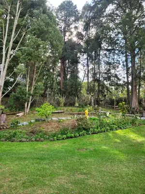 a garden with a person in the grass at La Pascana Ecolodge frente al parque Arví Entorno natural excepcional, reserva natural, áreas protegidas, conexión con la naturaleza y avistamiento de aves a 3km del metrocable Guarne in Guarne