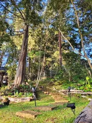 a park with trees and stairs in the grass at La Pascana Ecolodge frente al parque Arví Entorno natural excepcional, reserva natural, áreas protegidas, conexión con la naturaleza y avistamiento de aves a 3km del metrocable Guarne in Guarne