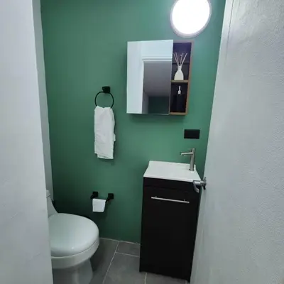 a green bathroom with a toilet and a sink at Loft with bathtub in Laureles in Medellín