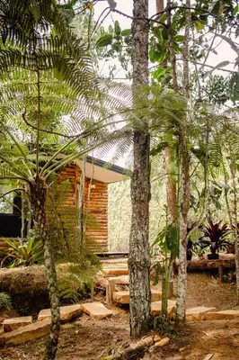 a house in the middle of a forest of trees at Cabaña Aventurina- La pascana Ecolodge Entorno natural excepcional, conexión con la naturaleza y avistamiento de aves, Ubicado a 3km del metrocable y Parque Arvi, Guarne in Mazo