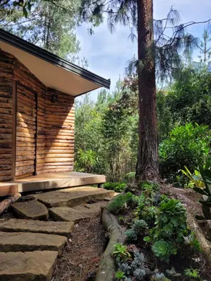 a log cabin with a tree in front of it at Cabaña Aventurina- La pascana Ecolodge Entorno natural excepcional, conexión con la naturaleza y avistamiento de aves, Ubicado a 3km del metrocable y Parque Arvi, Guarne in Mazo