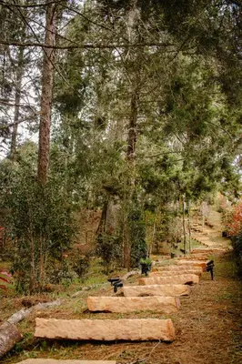 a row of stepping stones with trees in the background at Cabaña Onix - La Pascana Ecolodge in Mazo