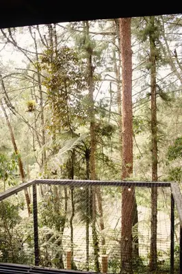 a view of a forest from a window at Cabaña Onix - La Pascana Ecolodge in Mazo