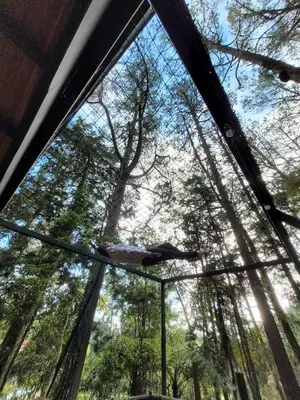 a person laying on a pole in a forest at Cabaña Onix - La Pascana Ecolodge in Mazo